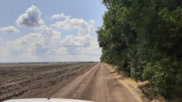 ÐÑÑÐ»Ð° Ð³ÑÐ»ÑÑÐ¸ Ð· Ð´ÑÑÐ·ÑÐ¼Ð¸ Ñ Ð½Ðµ Ð¿Ð¾Ð²ÐµÑÐ½ÑÐ»Ð°ÑÑ: Ð£ Ð»ÑÑÐ¾ÑÐ¼ÑÐ·Ñ Ð·Ð½Ð°Ð¹ÑÐ»Ð¸ Ð¼ÐµÑÑÐ²Ð¾Ñ Ð¼Ð¾Ð»Ð¾Ð´Ñ Ð´ÑÐ²ÑÐ¸Ð½Ñ. ÐÐ½Ð¸ÐºÐ»Ð° 2 Ð´Ð½Ñ ÑÐ¾Ð¼Ñ